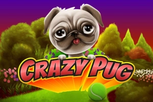 Crazy Pug slot by Swintt