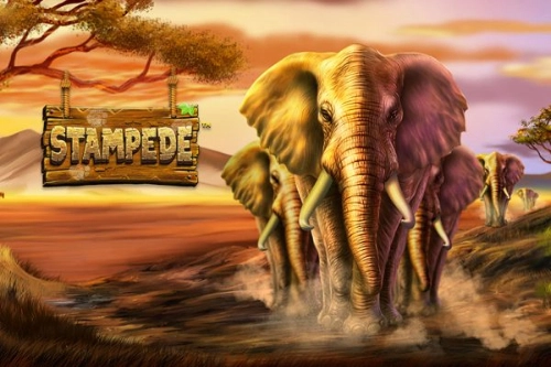 Stampede slot by Betsoft