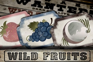 Wild Fruits slot by Endorphina