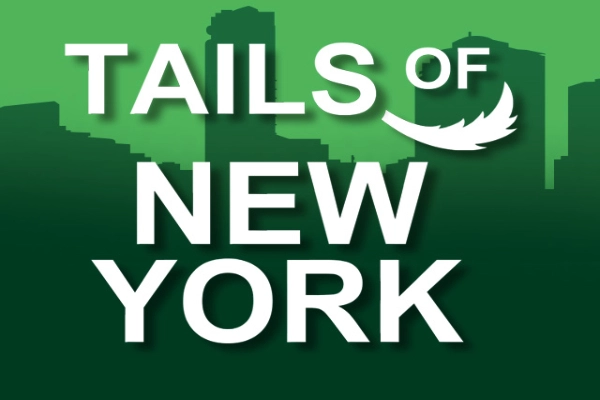 Tails Of New York slot by Genii