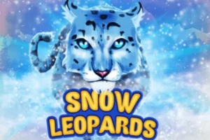 Snow Leopards slot by KA Gaming