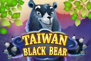 Taiwan Black Bear slot by KA Gaming