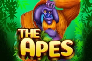 The Apes slot by KA Gaming