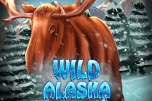 Wild Alaska slot by KA Gaming