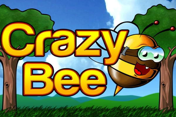 Crazy Bee slot by Amatic