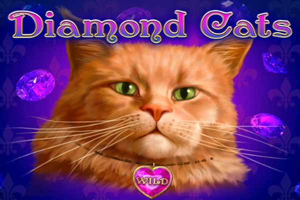 Diamond Cats slot by Amatic