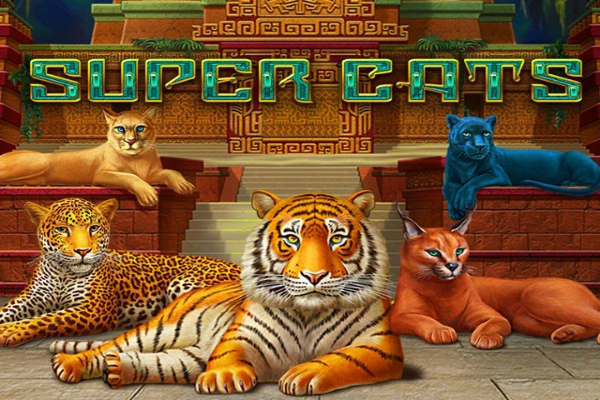 Super Cats slot by Amatic