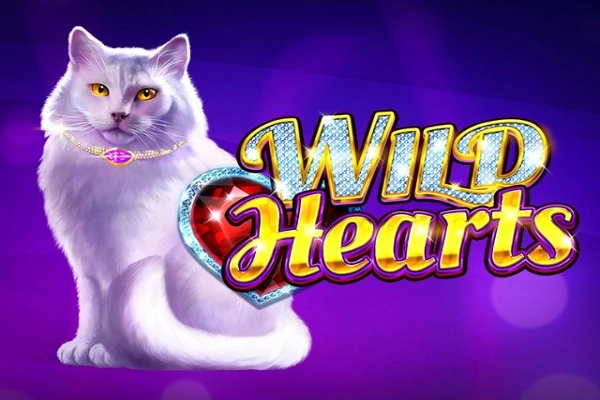 Wild Hearts slot by Amatic