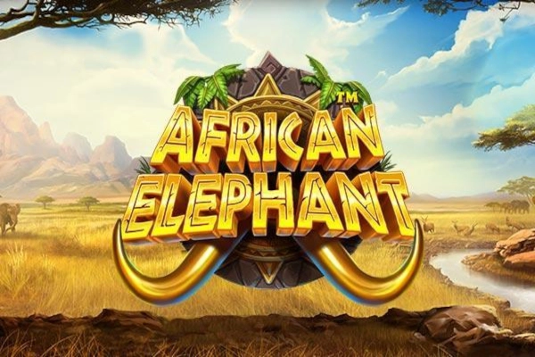 African Elephant demo