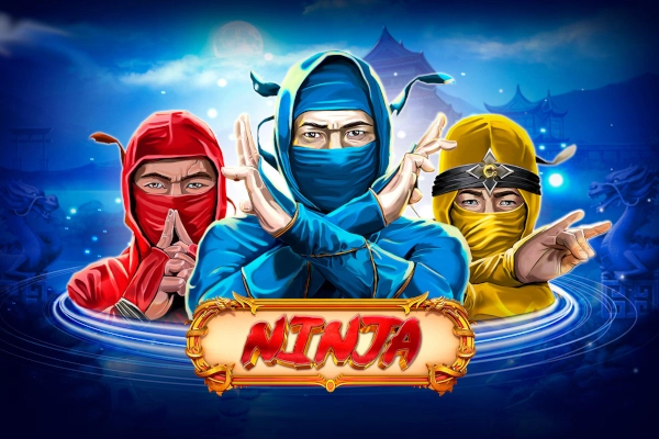 Ninja demo