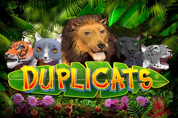 Duplicats slot by Realistic Games