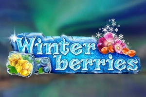 Winterberries demo