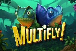 MultiFly! demo