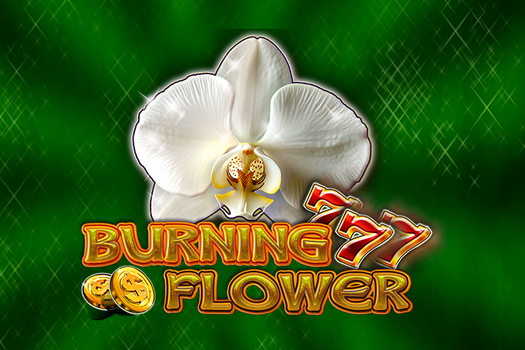 Burning Flower slot by CT Interactive