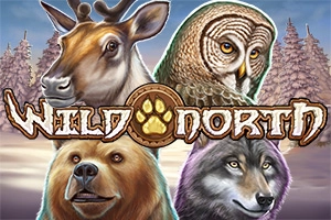 Wild North demo