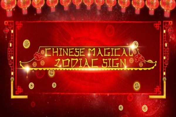 Chinese Magical Zodiac Sign slot by CasinoWebScripts