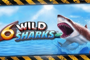 6 Wild Sharks demo