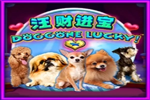 Doggone Lucky! slot by Aspect Gaming