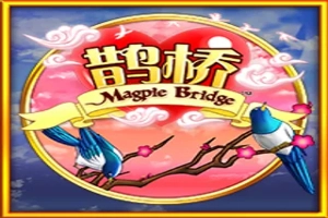 Magpie Bridge demo
